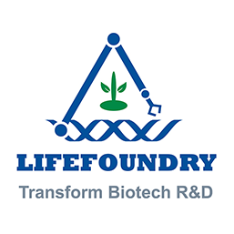Life Foundry Logo