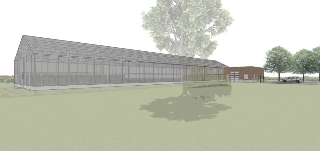 greenhouse rendering