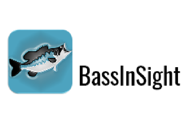 BassInSight 1 BassInSight