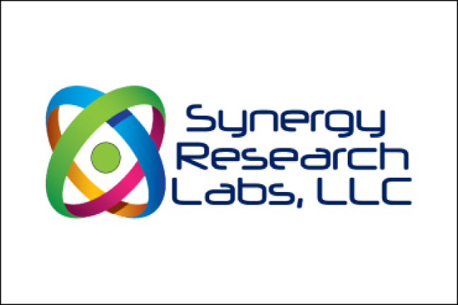Synergy Research Labs 1 Synergy Research Labs
