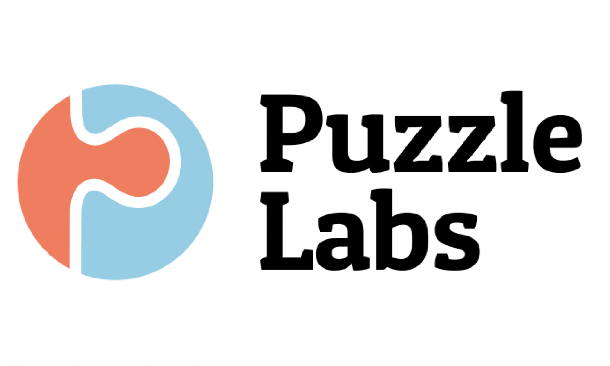 Puzzle Labs 1 Puzzle Labs