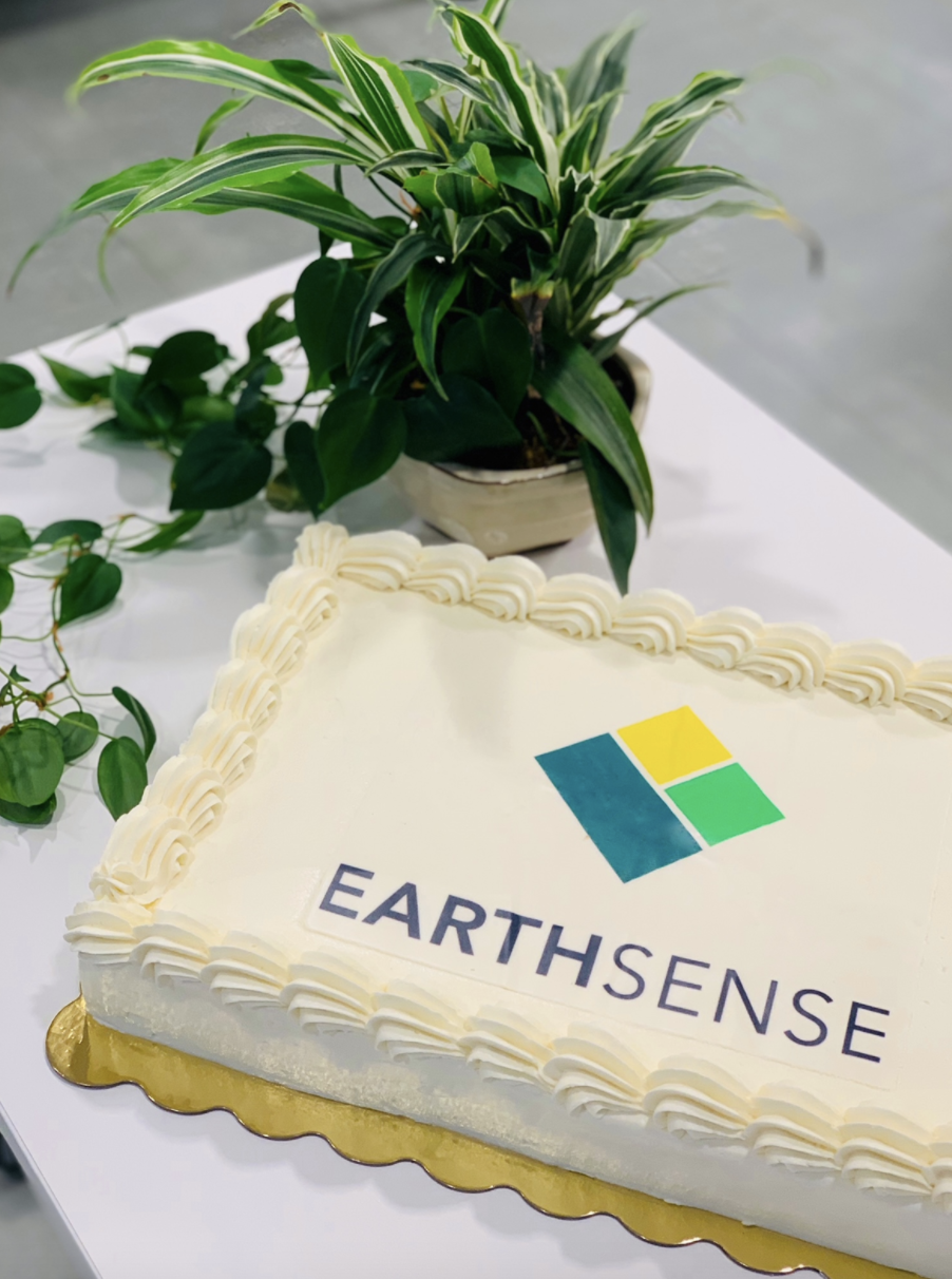 Earthsense graduation party cake.