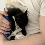 Abandoned Kitten at Research Park Finds Furever Home with Zite AI 6 Abandoned Kitten at Research Park Finds Furever Home with Zite AI